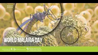 South Africa&rsquo;s Scientific Fight Against Malaria