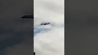 Proflight Zambia flight from Lusaka to Cape Town #planespotting #aviation #proflight #viral #shorts