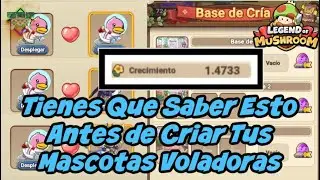 LOM Tips Para Criar Mascotas Voladoras (!!!Tienes Que Saber Esto)
