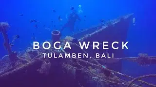 Boga Wreck Diving in Tulamben, Bali