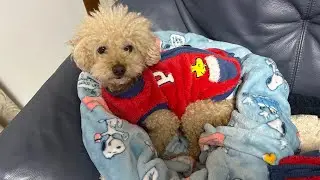バスフィッシングのカリスマショップの福袋開けてみた！犬は出ないよ！