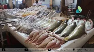 كاميرا الموصلية تتجول في سوق السمك بمنطقة الميدان بالموصل القديمة وترصد الاسعار ومدى اقبال المواطنين