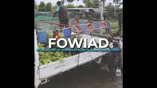 FOWIAD HUNDRED THOUSAND (100,000) CLONE COCOA SEEDLINGS DISTRIBUTION