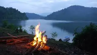 Belum Temenggor forest complex - Video introduction