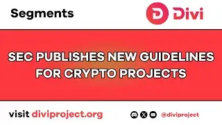 Divi Segments - SEC Published New Guidelines For Crypto Projects