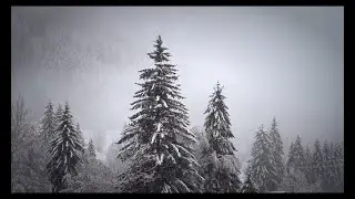 Melody Of Nature - GoodBMusic