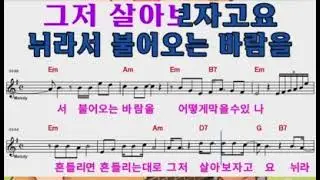 #신곡 #새바람 #지은숙 #미녀가수 #노래교실 #배우기 #live 
