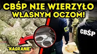 SERBSKI BOSS W RĘKACH POLICJI! PLANTACJE W LUBUSKIEM I SZCZECINIE