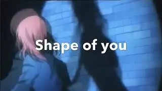 Shape Of You NicoMaki AMV