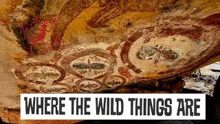 Red Dirt Australia  Where the Wild Things Are, Part 1 Perth to Mitchell Falls Winter 2021