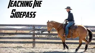 Teaching The Sidepass