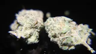 Friday Dispensary haul lets see the stash