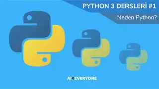 Yeni başlayanlar için Python 3 Dersleri #1 - Neden Python?