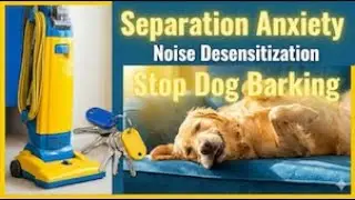 1-Hour Indoor Desensitization |  Noise Desensitization |