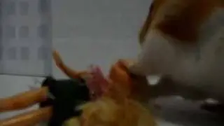 What's That Coming Over The Hill - The Automatic (Hamster version)