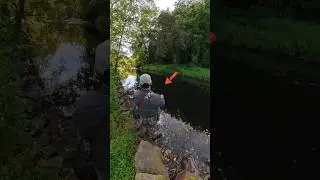 Catching a Yellow Perch with Upstream Fusion fishing lure + Blue Bird Nano | ASMR #fishing