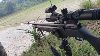 FX Dreamline Classic Cal.177/4,5mm. Power Test and Accuracy