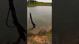 How To Catch A Bass Off A Bed!