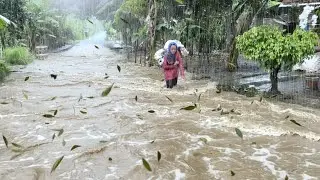 Heavy Rain and Thunder in the village - Rain walk | Thunderstorm Sleep Sounds