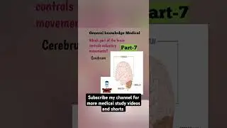 Cerebrum@FreeMedicalEducation-ld3sf#medical#nursing#mbbs#viralshortsvideo#youtubeviralshorts#Viral