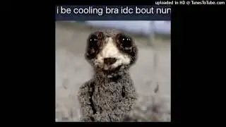 experimental quinn type beat kinda 