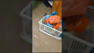 beritabatam pada tgl semalam 15/08/2023 banjir besar besar sampai masuk kerumah banjiran terbesar