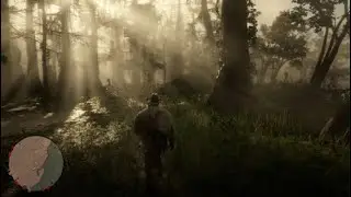 RDR2 2 Oleander sage location