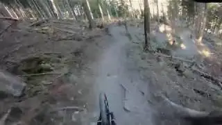 BrambiFlow 2019 RAW I Alpenbikepark Chur