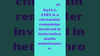 ATRX Alpha ThalassemiaMental Retardation Syndrome X Linked #KnowYourGenes #Genetics