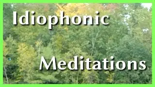 Forest Drive Meditation Minute Double Shot