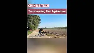 Chinese tech transforming Thai agriculture#fyp #fypシ #china #chinatiktok #likechina#tech