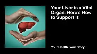 Your Liver is a Vital Organ: Here&rsquo;s How to Support It