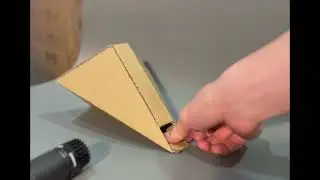 FMCG Alex Xu sonic video