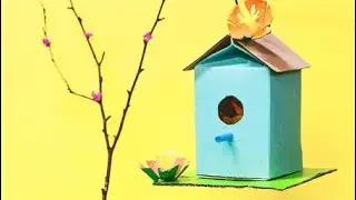 Diy nest from cardboard // bird nest // bird nest making from cardboard // bird nest ghonshala 
