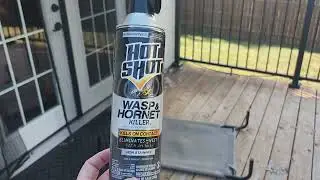 Hot Shot Wasp & Hornet Killer Spray