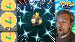Shiny Falinks Raid Day! We Got VERY Lucky! (Pok&eacute;mon GO)