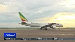 Gov't to purchase new aircraft in bid to revamp national carrier