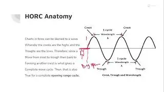 HORC: Signals