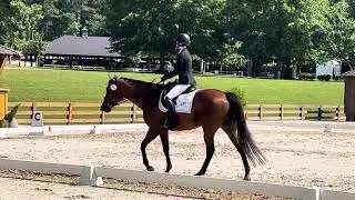 USDF Training Level Test 3 May 25, 2024