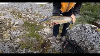 Jakten P&aring; Stor&ouml;ringen! #1 [Highlights]