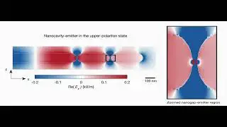 &lsquo;Immortalization&rsquo; of Quantum States by Quantum Nanoplasmonic Coherent Perfect Absorption