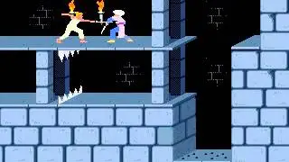 prince of persia 1989 level 9/12