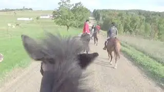 Coe Farm