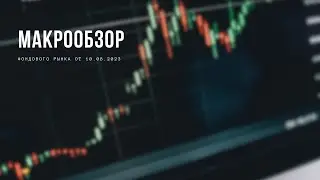 МАКРООБЗОР фондового рынка от 10 августа 2023 года