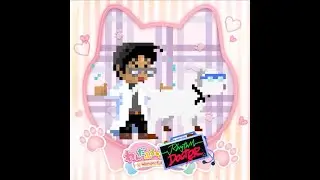 FUN☆FUN☆Wonderful DAYS! (Wonderful Precure ED 1) || RHYTHM DOCTOR CUSTOM LEVEL