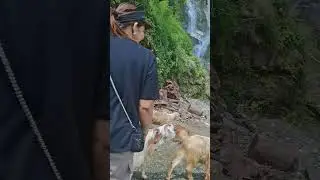 ghandruk janu paro ma samjanus hos 9860931345 🙏