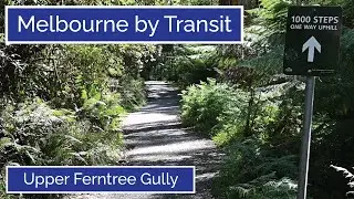 Melbourne by Transit - Upper Ferntree Gully
