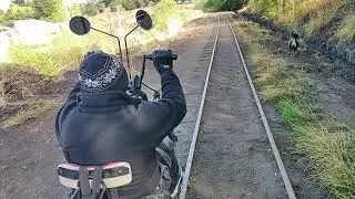 BARRA  y LA VIUDA NEGRA