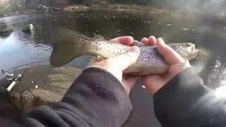 Lunker Hunterz First Vid- Trout Trip