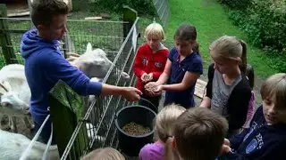 Sommerferienspaß auf dem Ingenhammshof